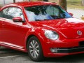 zdjęcie Beetle