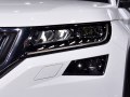 zdjęcie Kodiaq