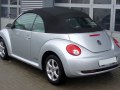 zdjęcie Beetle
