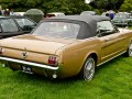 zdjęcie Mustang