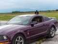 zdjęcie Mustang