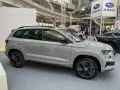 Skoda Karoq Karoq (facelift 2021) — 12