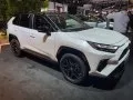 Toyota RAV4 RAV4 V — 33