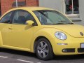 zdjęcie Beetle