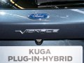 zdjęcie Kuga