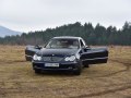 zdjęcie CLK
