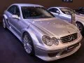 Mercedes-Benz CLK CLK (C209) — 41