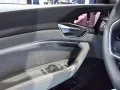 Audi e-tron e-tron — 19