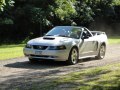 zdjęcie Mustang
