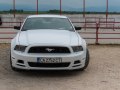 zdjęcie Mustang