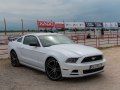 zdjęcie Mustang
