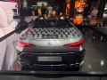 AMG PureSpeed