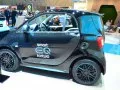 Smart EQ fortwo EQ fortwo (C453) — 14