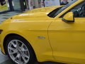zdjęcie Mustang