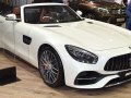 zdjęcie AMG GT