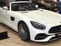 Mercedes-Benz AMG GT AMG GT Roadster (R190) — 2