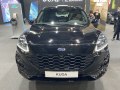 zdjęcie Kuga