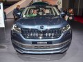 zdjęcie Kodiaq