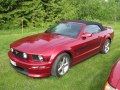 Mustang Convertible V