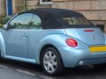 zdjęcie Beetle