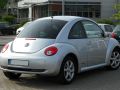 zdjęcie Beetle