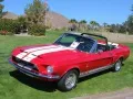 Ford Shelby Shelby I Cabrio — 3