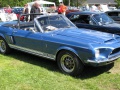 Shelby I Cabrio