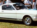 zdjęcie Shelby