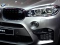 zdjęcie X6 M