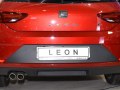 zdjęcie Leon