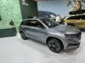 Skoda Karoq Karoq (facelift 2021) — 28