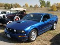 zdjęcie Mustang