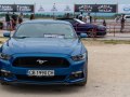 zdjęcie Mustang