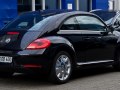 zdjęcie Beetle