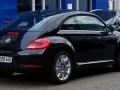 Volkswagen Beetle Beetle (A5) — 9
