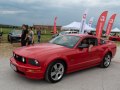 zdjęcie Mustang
