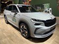 Skoda Kodiaq Kodiaq II — 20