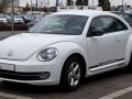 zdjęcie Beetle