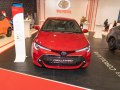 zdjęcie Corolla