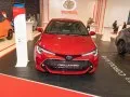 Toyota Corolla Corolla Hatchback XII (E210) — 23