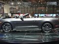 zdjęcie Mustang