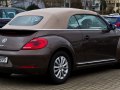zdjęcie Beetle
