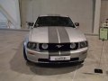 zdjęcie Mustang