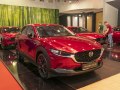 zdjęcie CX-30