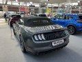 zdjęcie Mustang