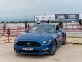 zdjęcie Mustang