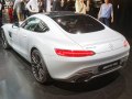 zdjęcie AMG GT