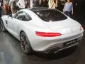 Mercedes-Benz AMG GT AMG GT (C190) — 9