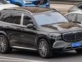 Mercedes-Benz GLS Maybach GLS (X167) — 7