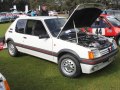 zdjęcie 205